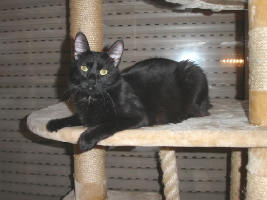 Twinkle�s Very Sweet